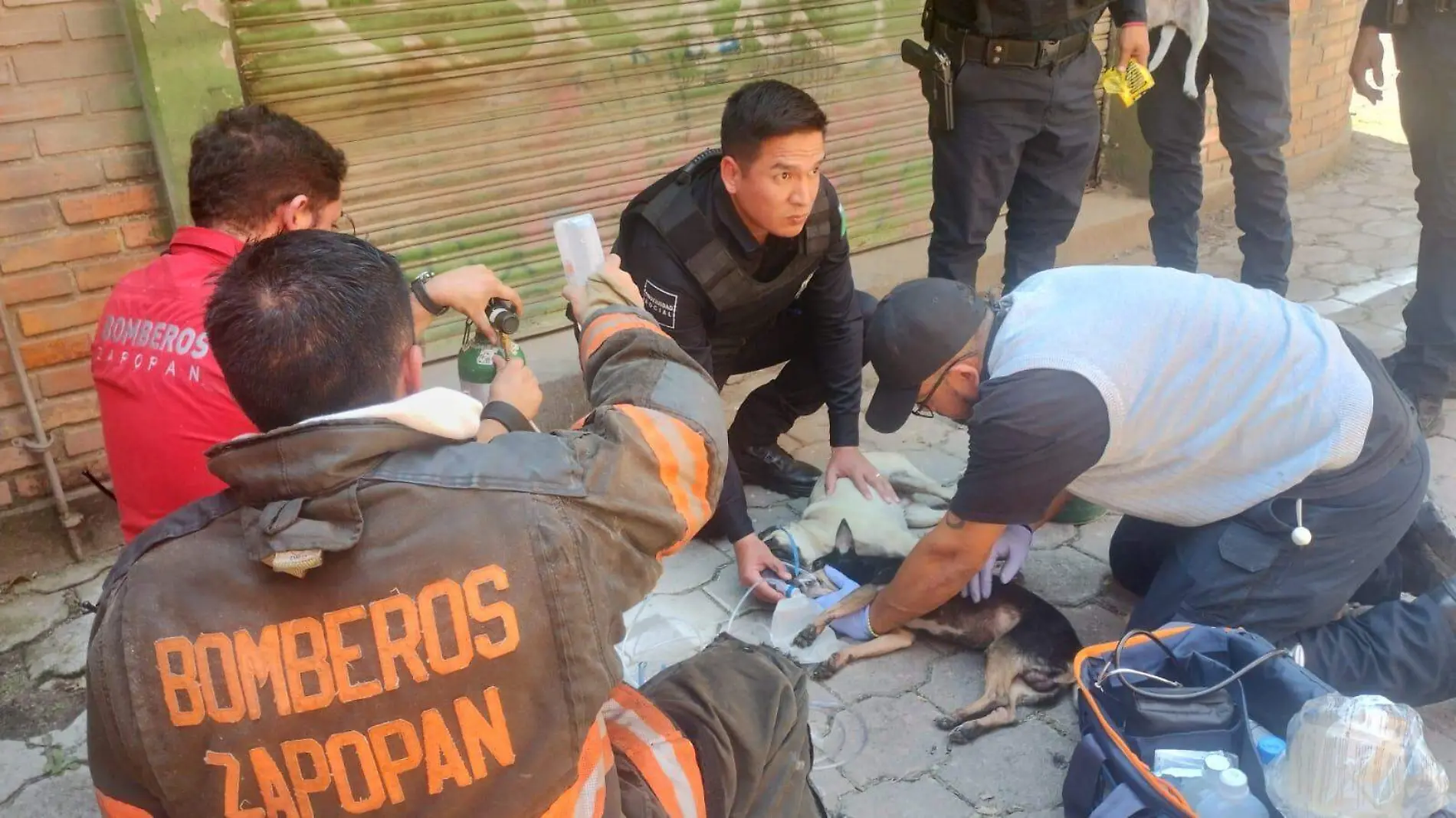 Bomberos de Zapopan